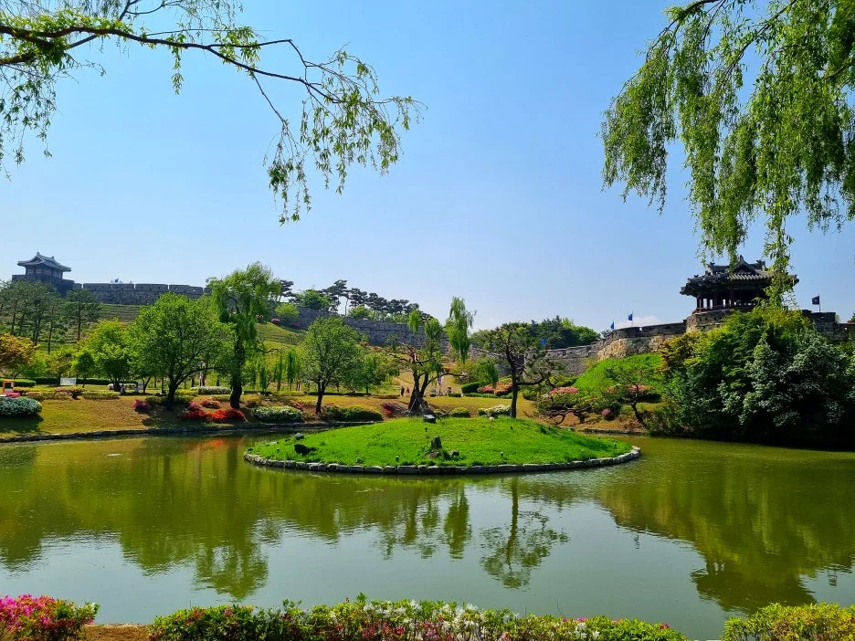 SE-d46efce5-63e2-46e6-99d8-bccf04a74c30.jpg?type=w1