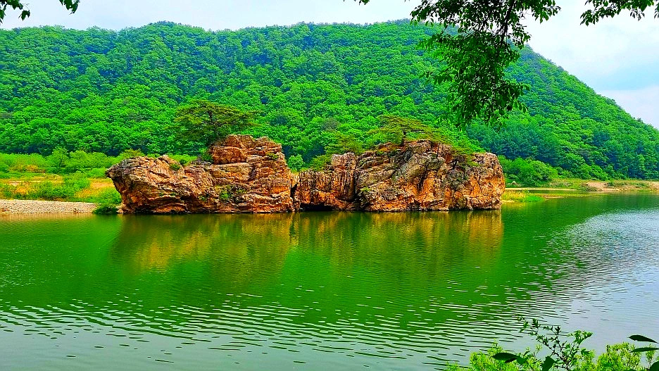 SE-d7a8c9d3-6ae2-4a68-a68c-caa4b2ddaa81.jpg?type=w1