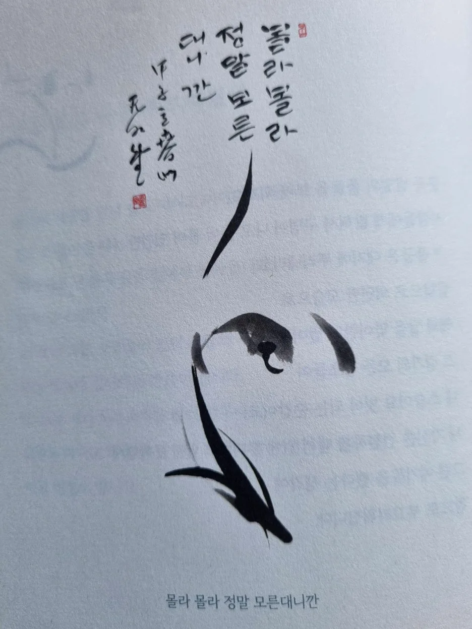 SE-bd1d4b23-6985-4c04-927e-c9385b855bd4.jpg?type=w1