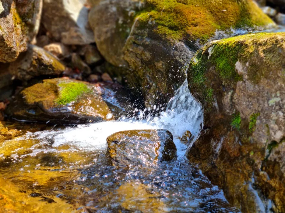 SE-05101b82-6fda-481d-8726-2aff8222850b.jpg?type=w1