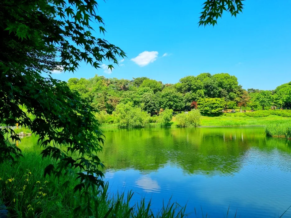 SE-ed60ea30-8f64-46f3-aacd-cea07499741a.jpg?type=w1