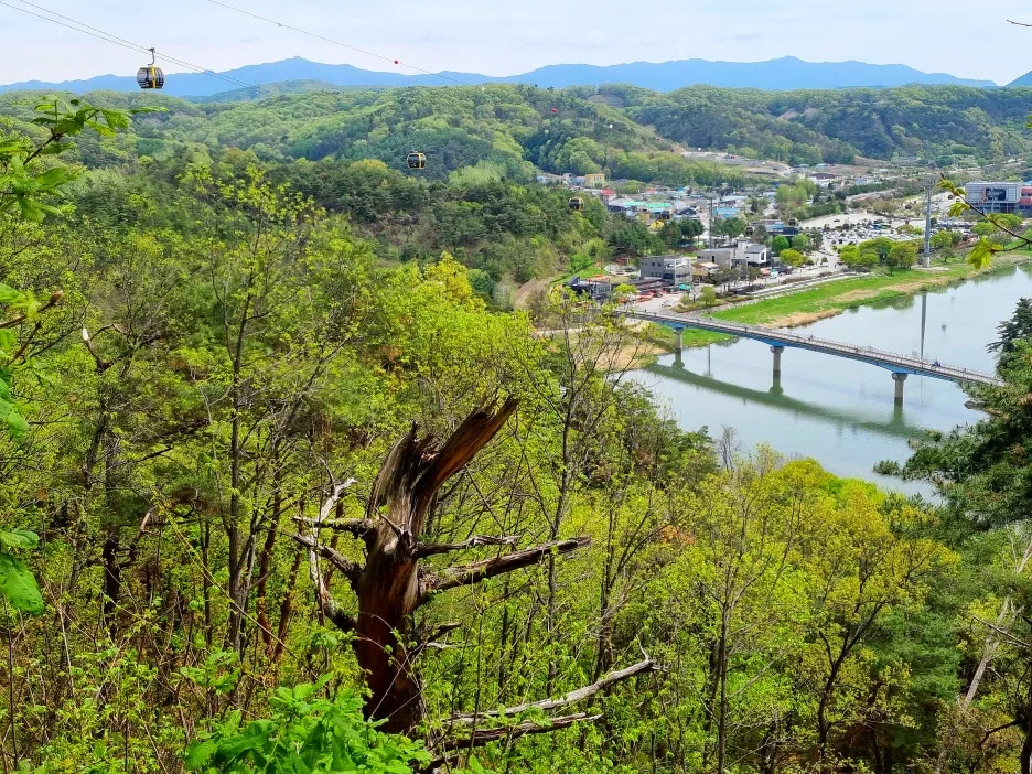 SE-3a1bbc10-a9a5-408e-9062-eb5eb24919f5.jpg?type=w1