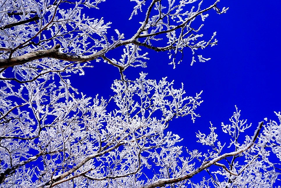 SE-9acf59fc-3165-4a64-b4e5-98c805c2cdca.jpg?type=w966