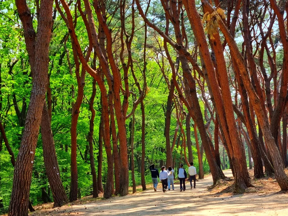 SE-f79a62c2-f8b8-415a-ae39-95cb5730839d.jpg?type=w1