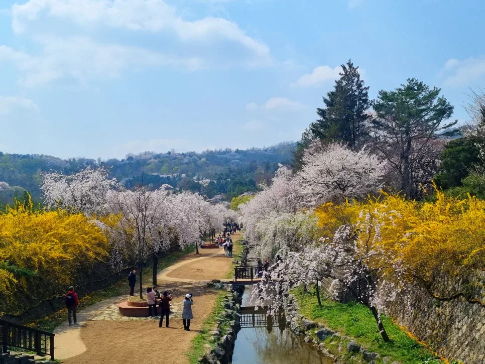 SE-900889ee-7d9d-4dd0-b947-cd72946fa4c3.jpg?type=w966