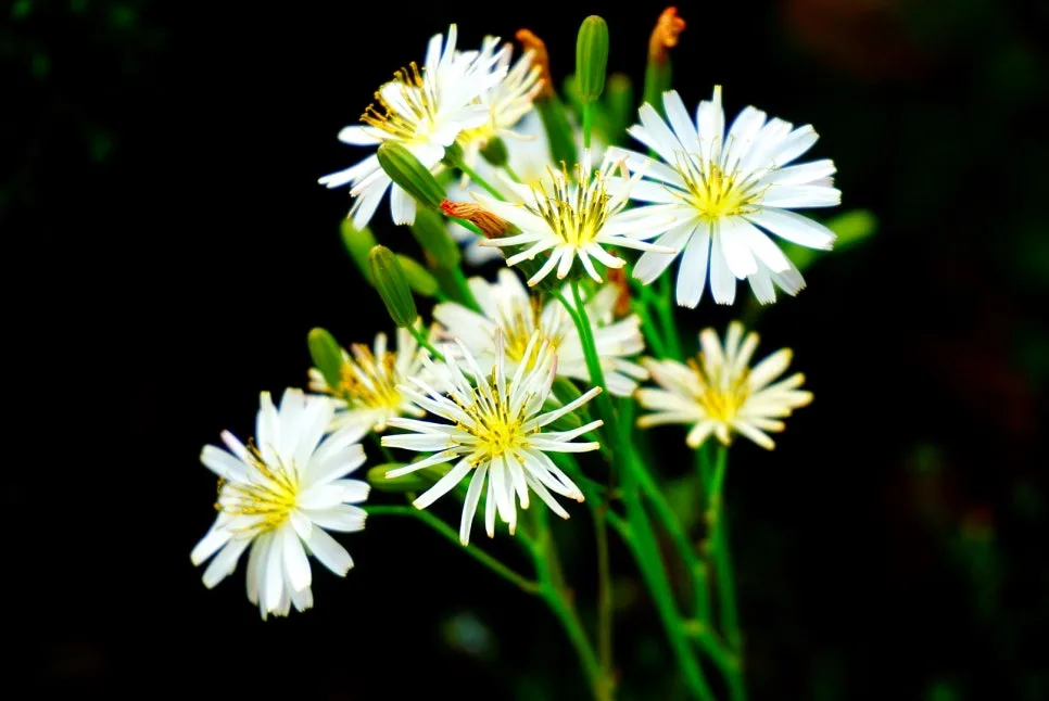 SE-85e0bd87-3db2-4ac0-b9f2-4f2ab78e48ca.jpg?type=w966