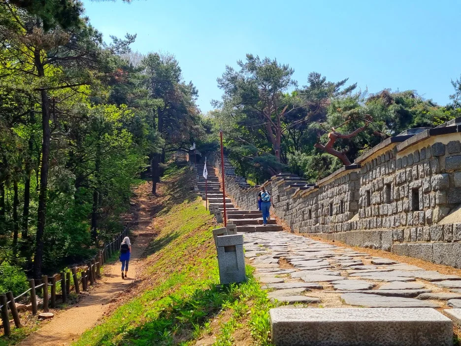 SE-86214b28-1b9a-44f7-a531-74917d6bd0eb.jpg?type=w1