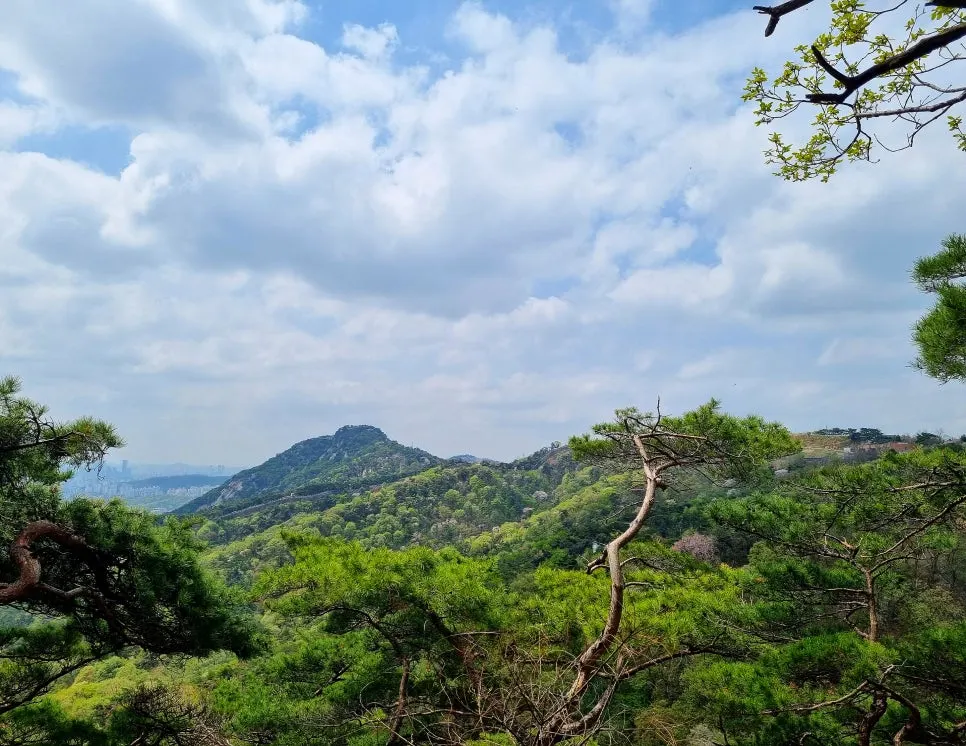 SE-f0781b96-ab92-4ec7-9fc8-d4175312284d.jpg?type=w966