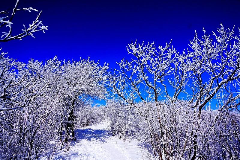 SE-942e14d2-d41e-4d59-b061-17e1081dc0e3.jpg?type=w966