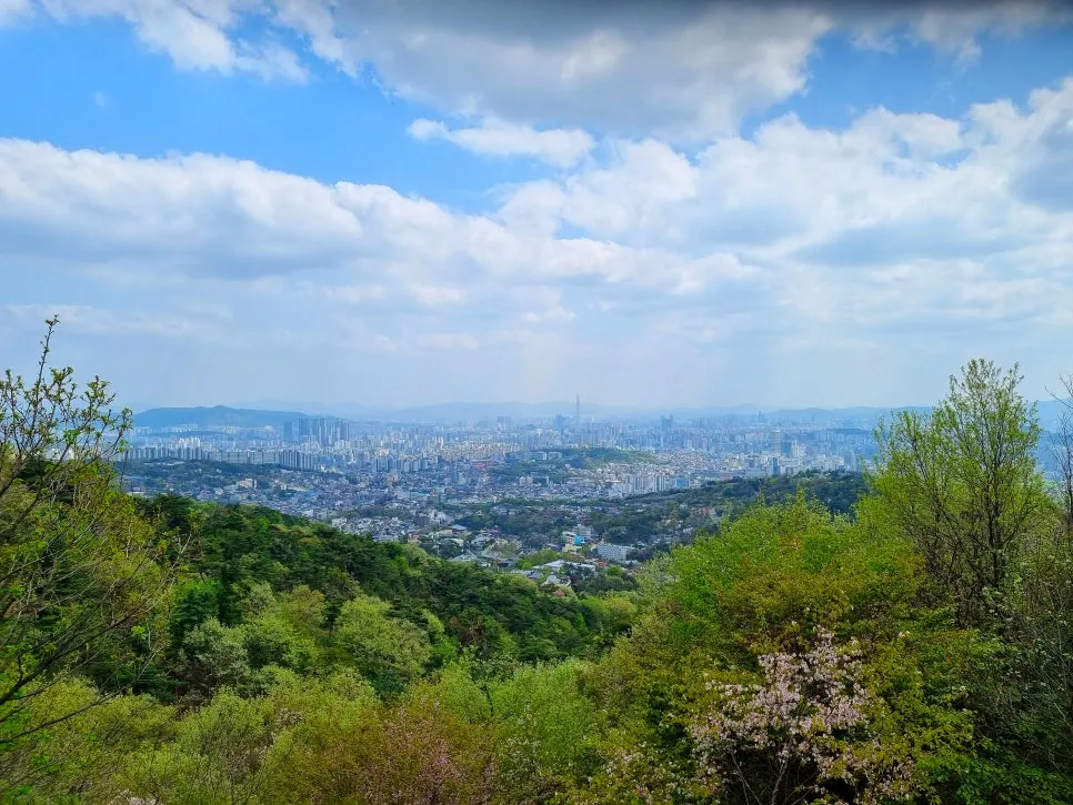 SE-8e5f3928-2c87-4c07-8f17-51af1d8bba55.jpg?type=w966