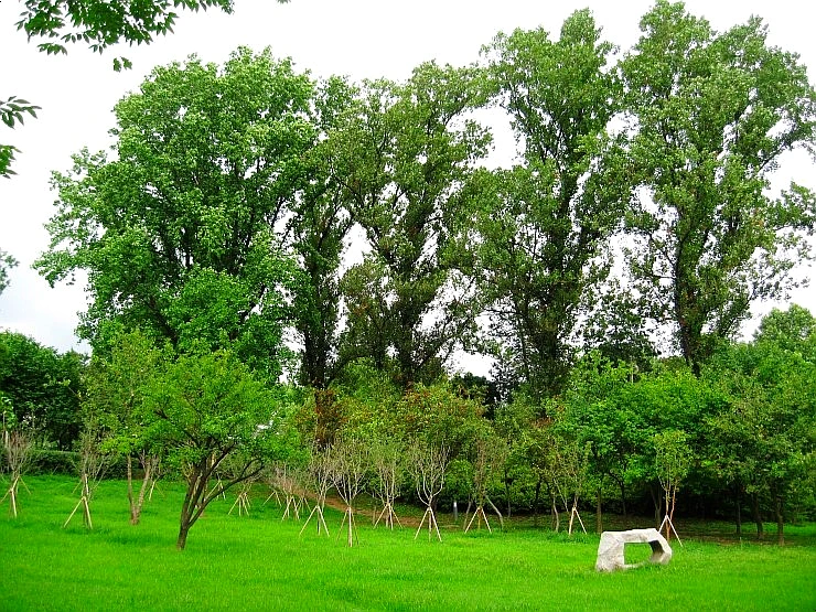 SE-891c2b6e-e1d2-4a0c-bd82-49de6b59dd93.jpg?type=w1