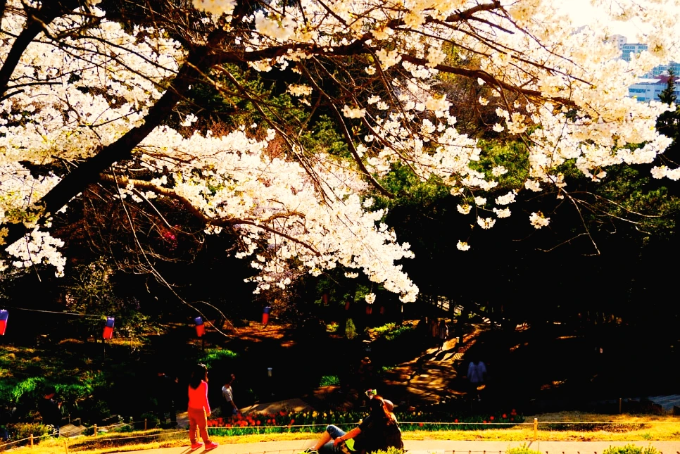 SE-9a6c3fff-24a6-42d3-8969-4f66e4477f09.jpg?type=w966