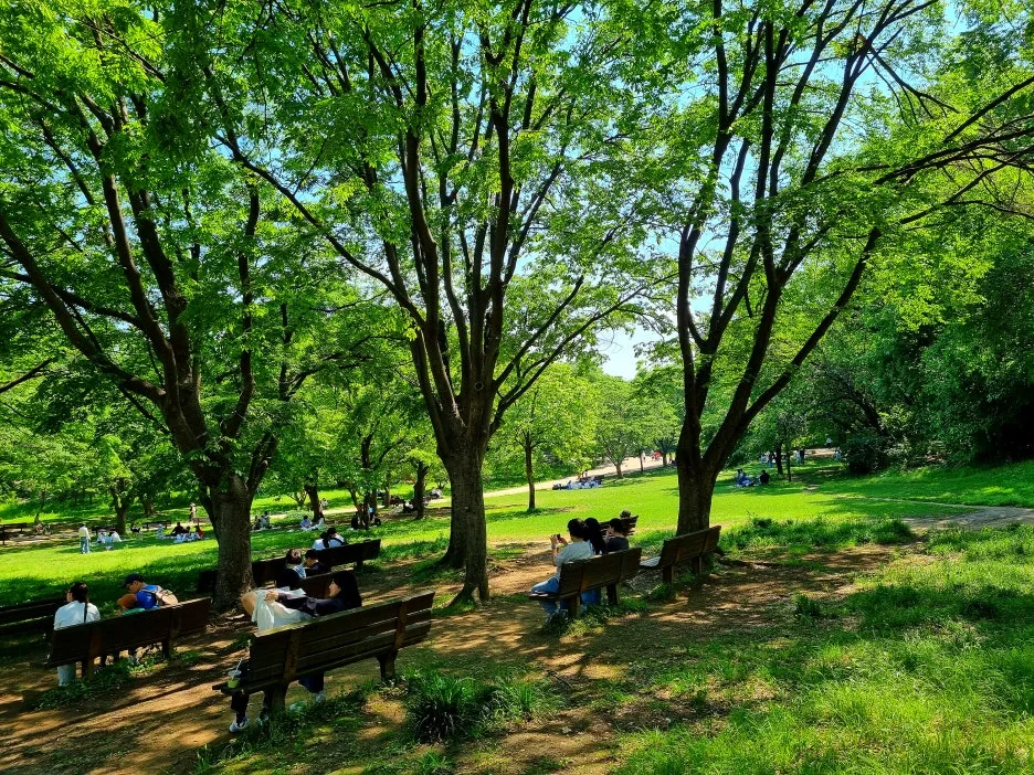 SE-e72f67d2-b2b8-4f83-aa90-df7d26b6a098.jpg?type=w1