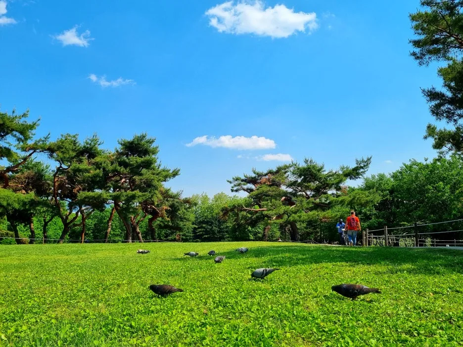 SE-70353321-ae58-493e-a327-d607fb0dede9.jpg?type=w1