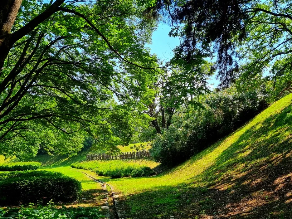 SE-a040a717-5674-4412-a65e-8257b6ad2e9c.jpg?type=w1