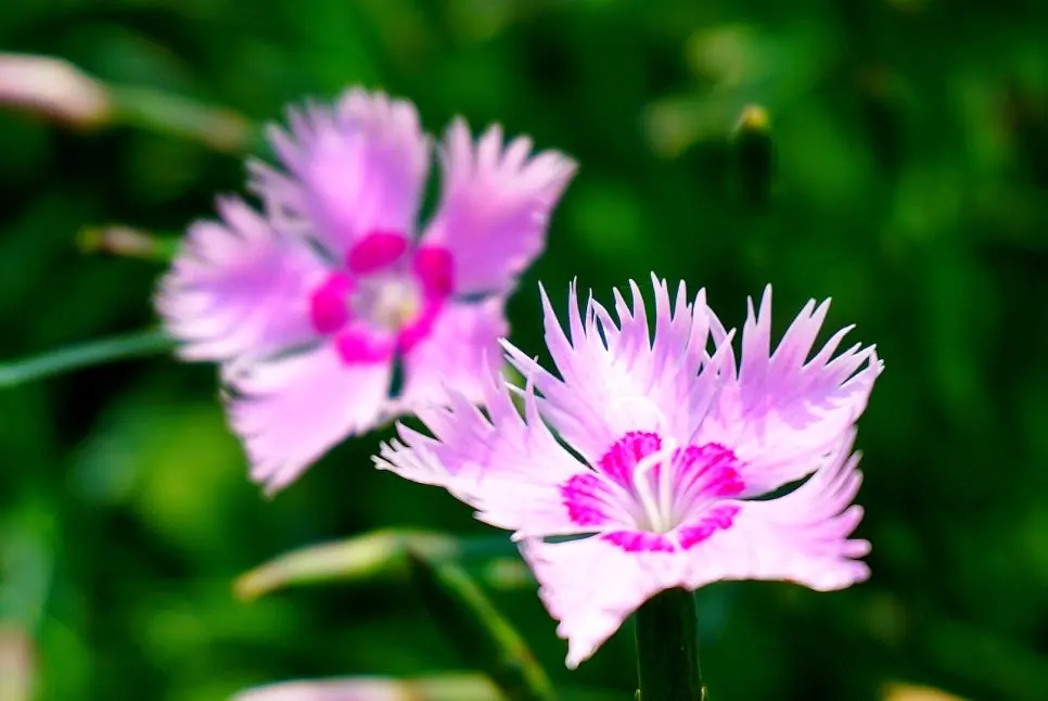 SE-e2d2b187-986e-4a9b-9036-5473d770014d.jpg?type=w966