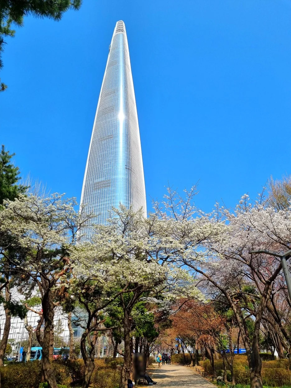 SE-47dc0fb2-021a-46c9-8a37-f6ced2ee6516.jpg?type=w1