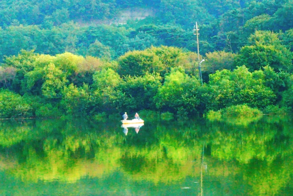 SE-7f8cd02c-26d1-4383-a2eb-03d064ed920f.jpg?type=w966