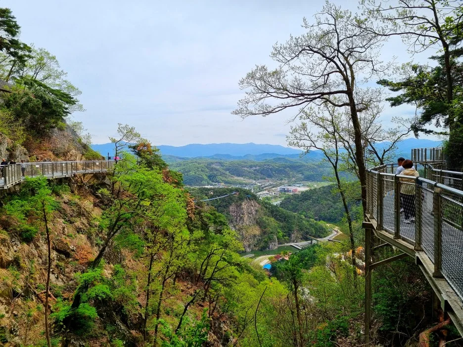 SE-d4272327-cedc-4343-ac38-dd8175c4d1f0.jpg?type=w1