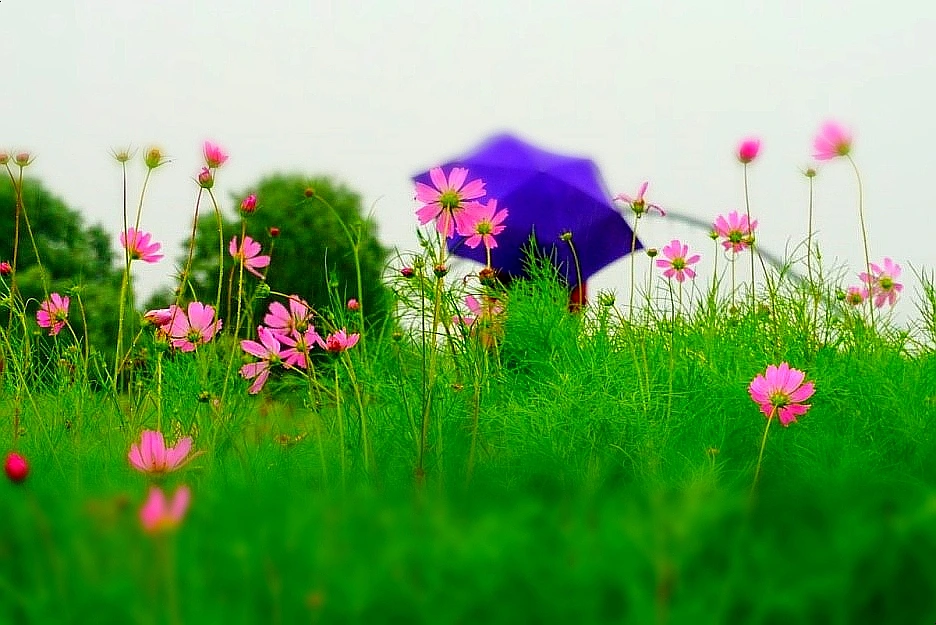 SE-97a525cc-24ca-40a8-8aae-1bf7258ba2da.jpg?type=w1