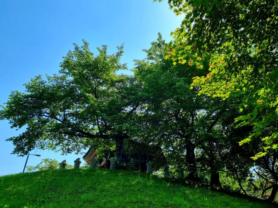 SE-8d6e83b5-7de8-41f7-85c9-469a916e9a27.jpg?type=w1