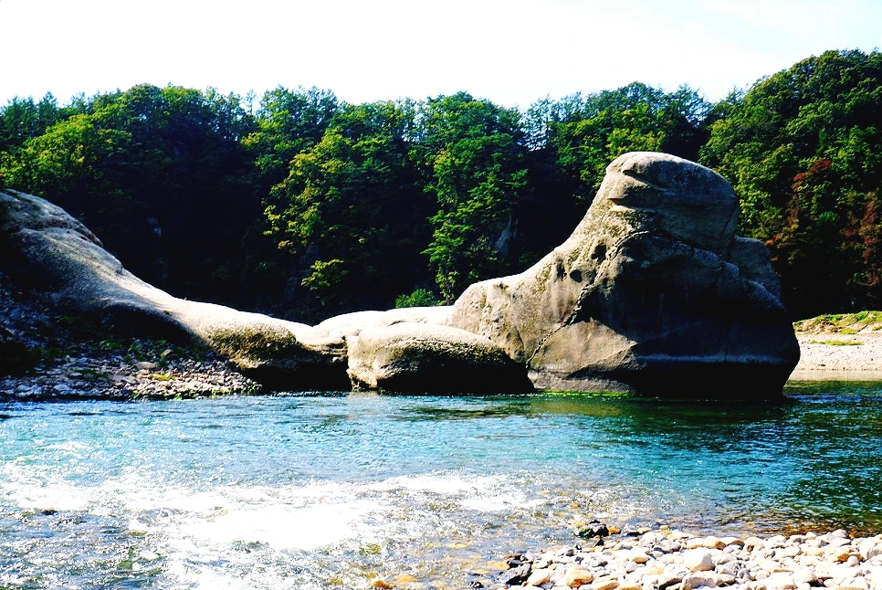 SE-6ce59ea2-3d58-47d9-9a88-acd3a188c5b5.jpg?type=w966