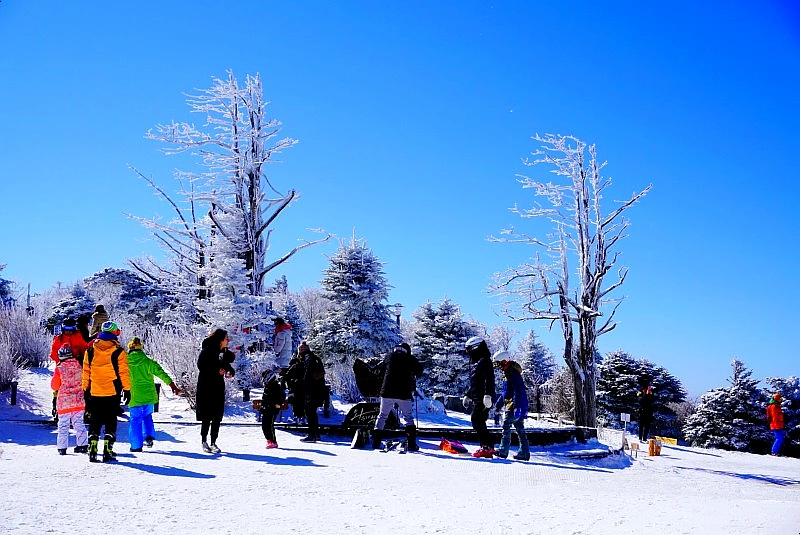 SE-81038411-9bc5-400a-b942-89286a768242.jpg?type=w1