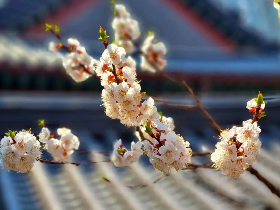 SE-c22c581a-5446-444a-af38-0060f3a1834f.jpg?type=w1