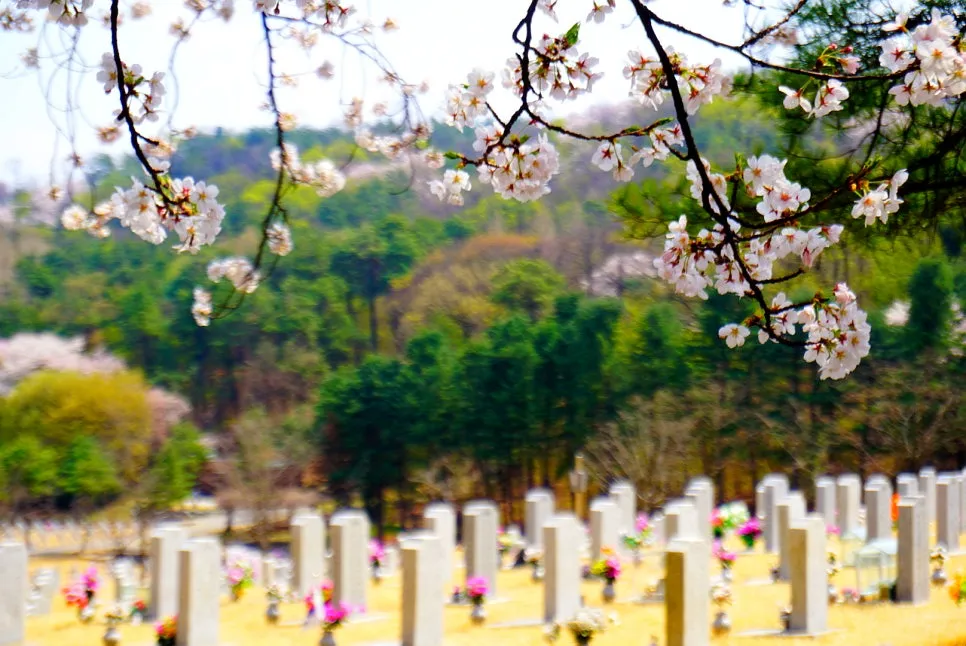 SE-307410e3-1cf4-4a94-ab48-58cc40ce6640.jpg?type=w966