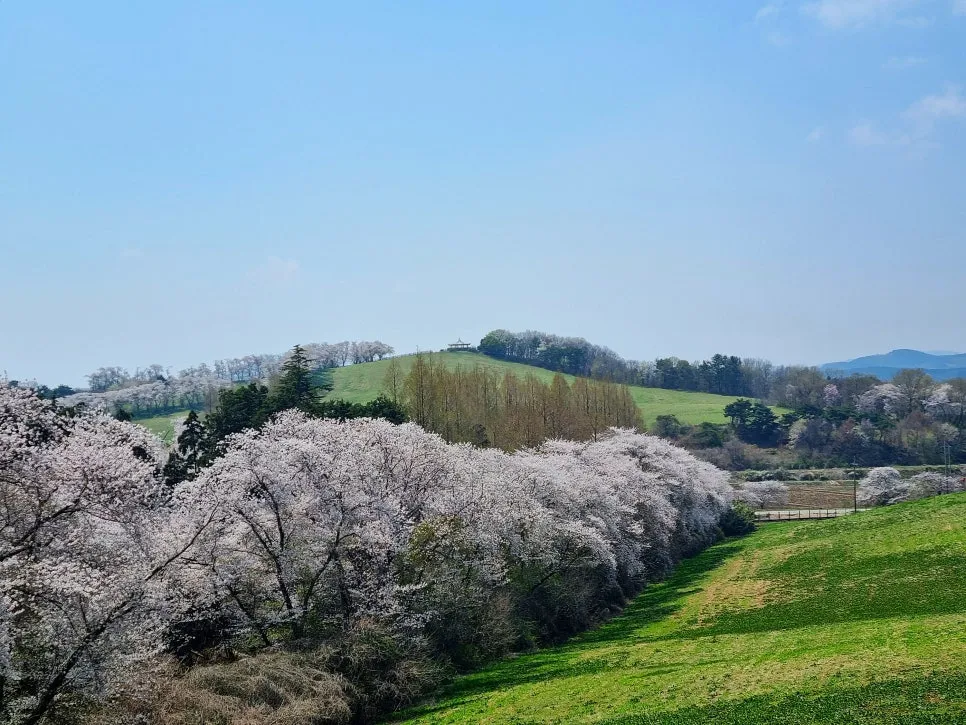 SE-86b85247-3a14-4d8d-9366-9bfda1c13774.jpg?type=w966