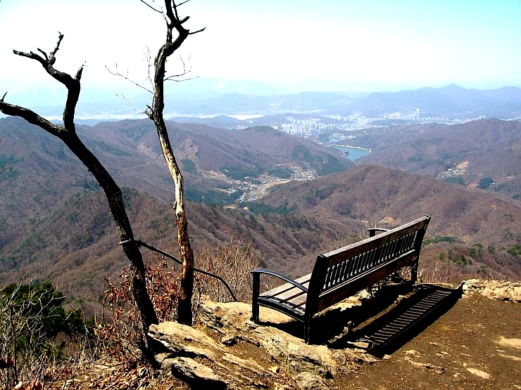 SE-6211d8c2-83a3-42ed-a6aa-5c9c170963cc.jpg?type=w1