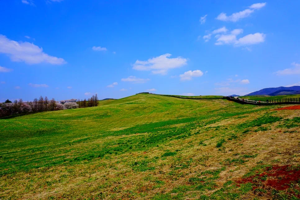 SE-a6359287-e366-49da-944e-610c67a1114e.jpg?type=w966