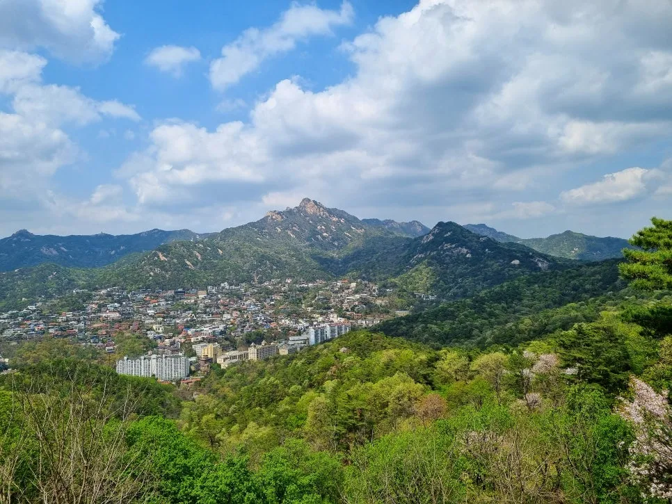 SE-9208604d-a0ef-4bec-a66f-e91755a22ae1.jpg?type=w966