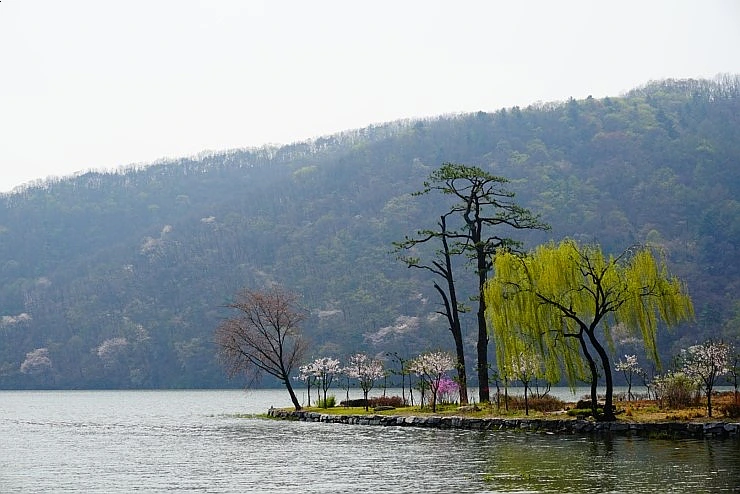 SE-d9fab6fe-2bc4-482d-8dd1-6d7e567b1707.jpg?type=w1