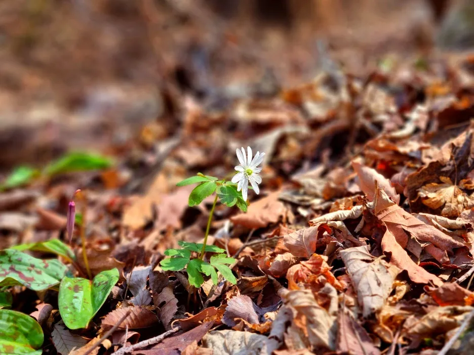 SE-997af48b-f70c-4ad2-a5ec-db73a9bb08b2.jpg?type=w1