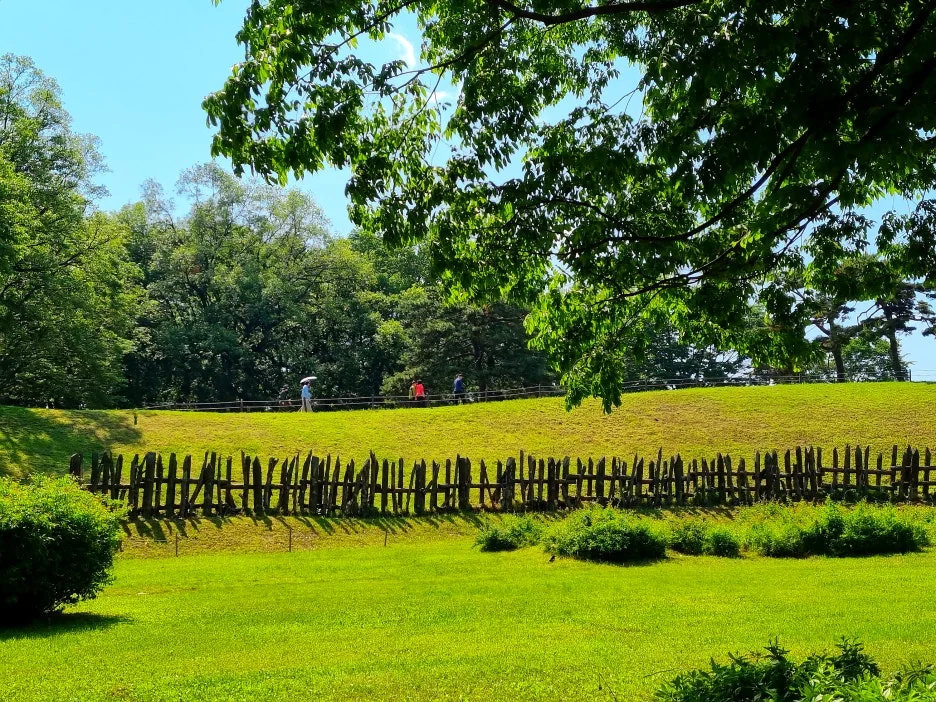 SE-a2775c3e-505b-4ee8-a87d-c49c17d3c5ed.jpg?type=w1