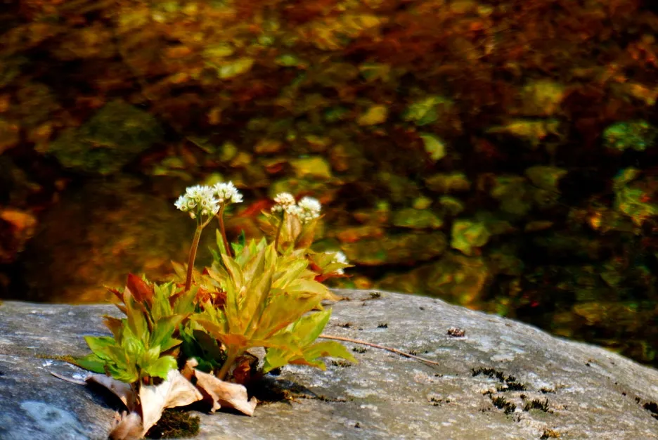 SE-550c0942-3932-4f39-9c55-89e92be8822e.jpg?type=w1