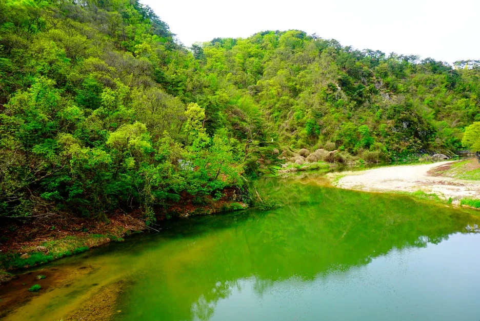 SE-ebd34eed-1728-4026-9e95-b19548a83068.jpg?type=w1