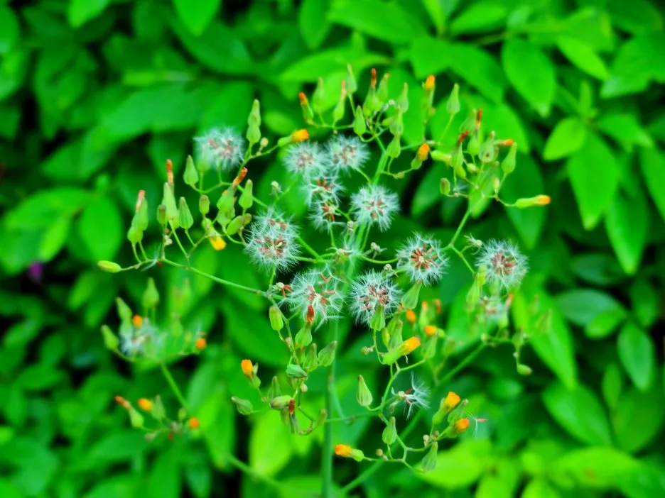 SE-34a72616-a198-4fc3-91fa-a01f9c2f29f9.jpg?type=w1