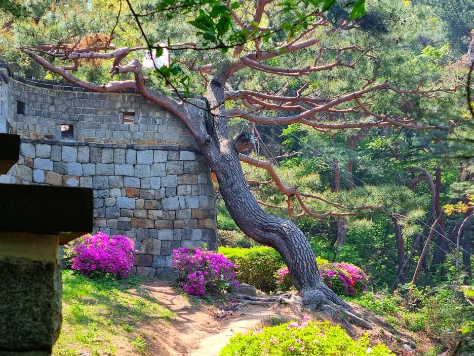 SE-e6107925-2c8a-49a6-8d38-2d197f4ed570.jpg?type=w1