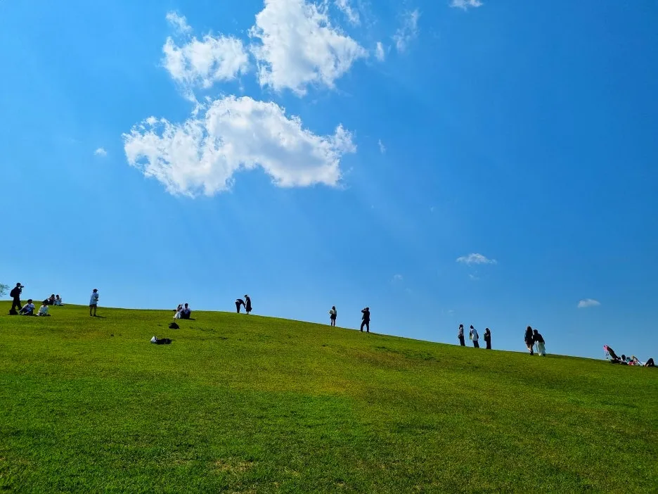 SE-081c62e0-8974-442b-8a3d-ea2381bacd66.jpg?type=w1