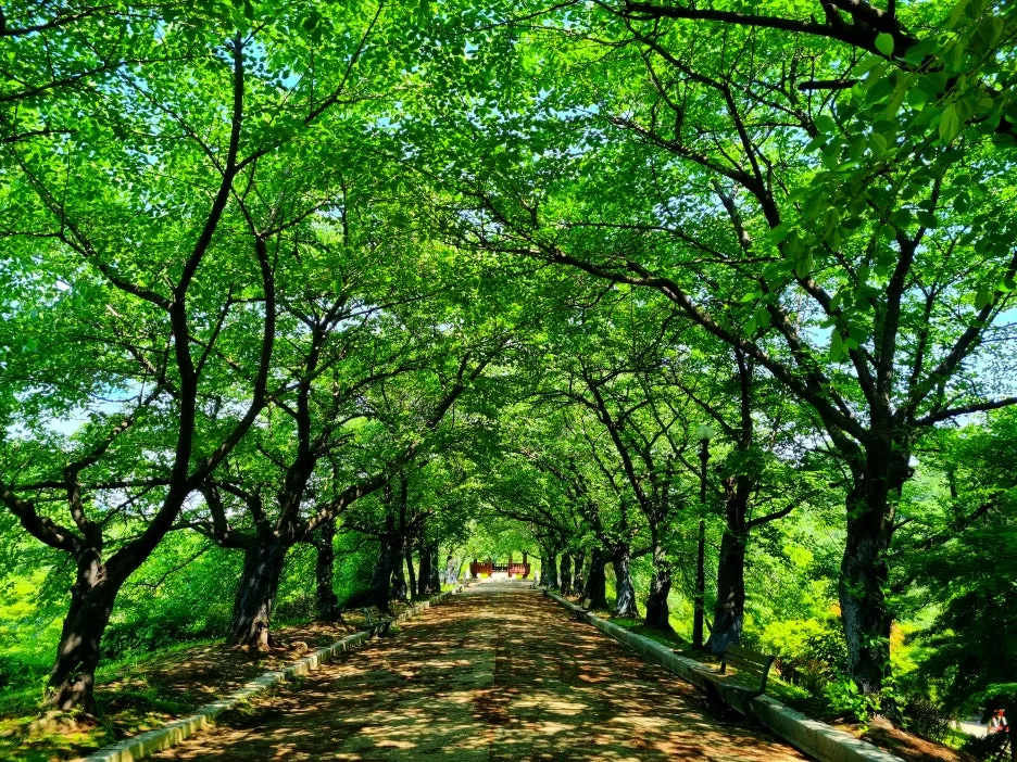 SE-65d37bc9-adbb-42b4-8d8a-cc9790ca9ce8.jpg?type=w1