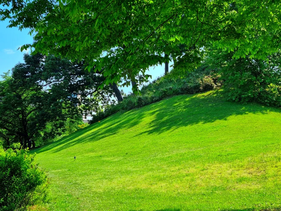 SE-05dbcbb4-bc13-4cba-b1b0-34940a525bdd.jpg?type=w1