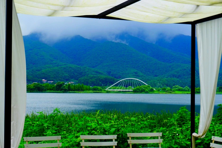 SE-e92c7ed7-be2e-47de-a108-4cbd84a26ac6.jpg?type=w1