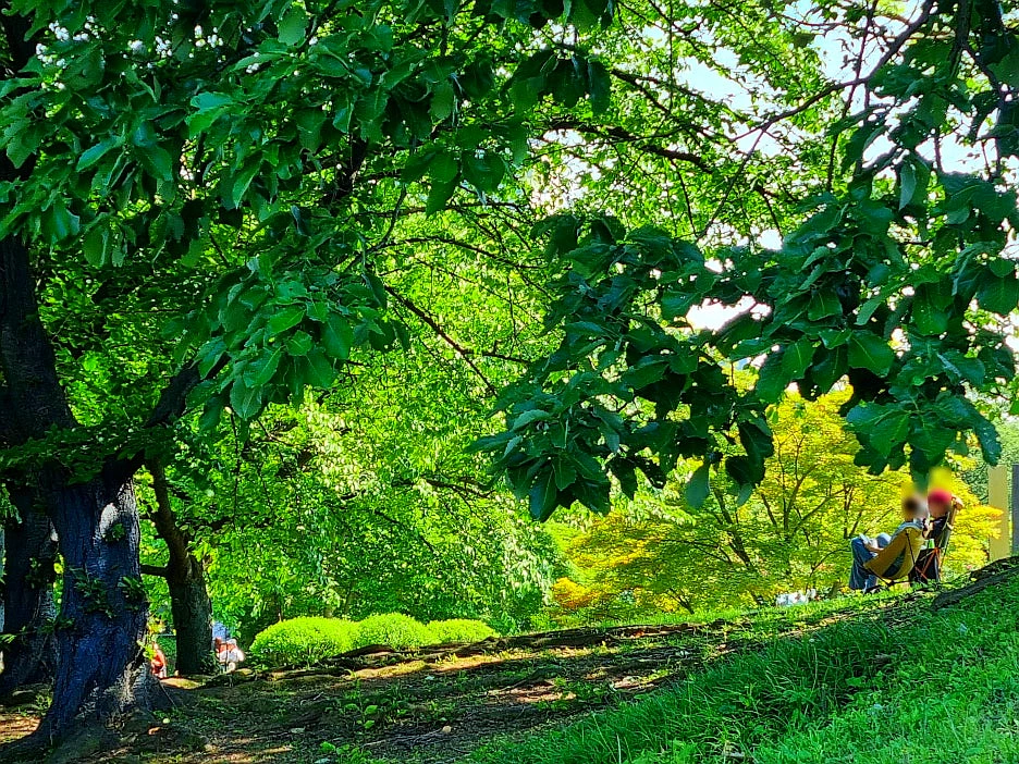 SE-aa12765f-3fbd-432f-a636-babafb0ed9fc.jpg?type=w1