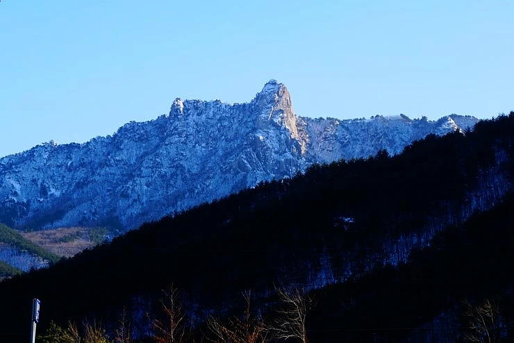 SE-953c49bb-f53d-4b87-a056-39beeba2e8bd.jpg?type=w1