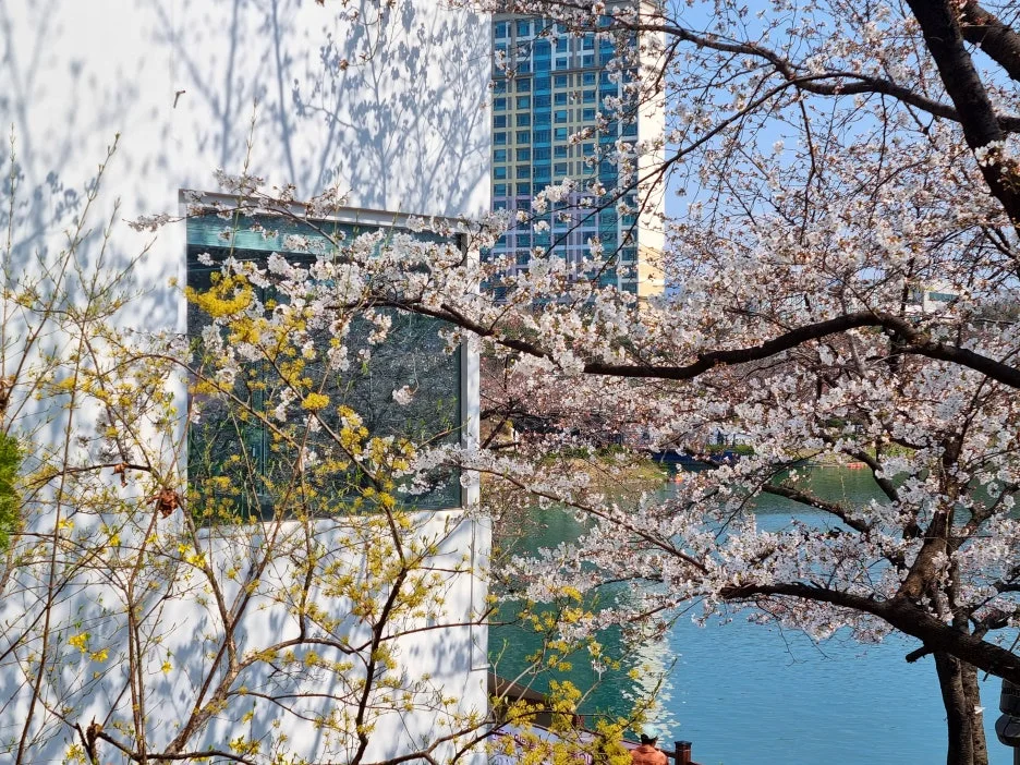 SE-03b37cc7-8f3c-40e2-98fe-beb20ccbd1e0.jpg?type=w1