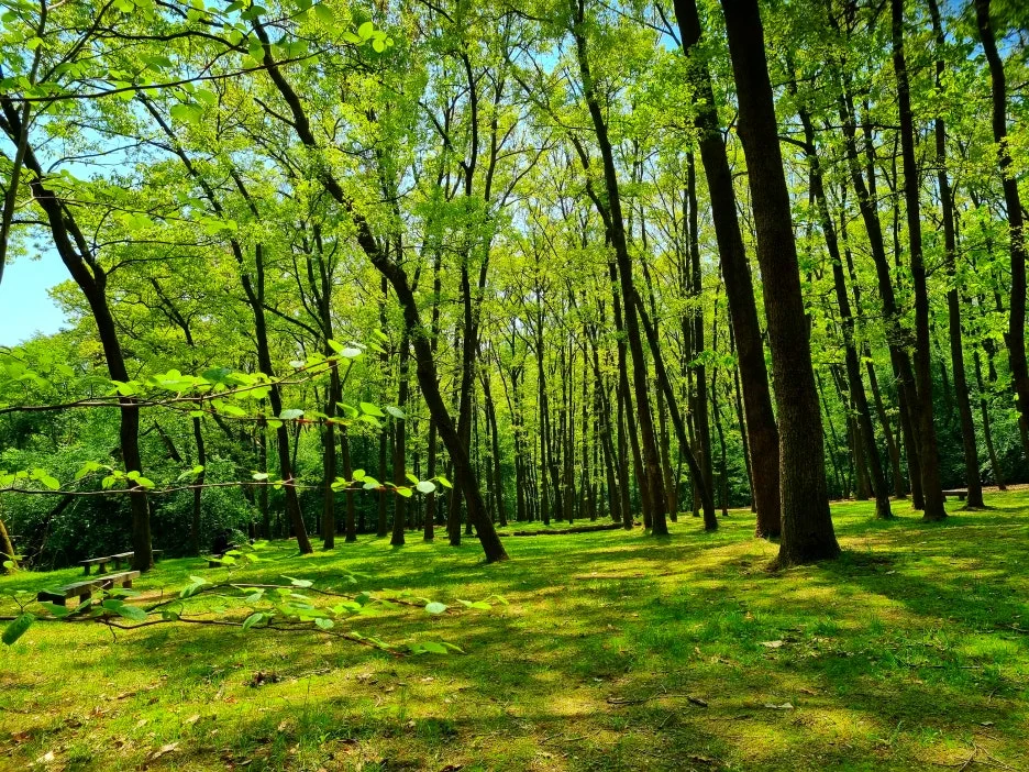 SE-f37168b5-0361-4174-97f8-8d49cdbb5645.jpg?type=w1