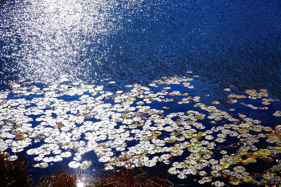 SE-5ac8addb-4eb4-431a-91f8-732c6283bae6.jpg?type=w1