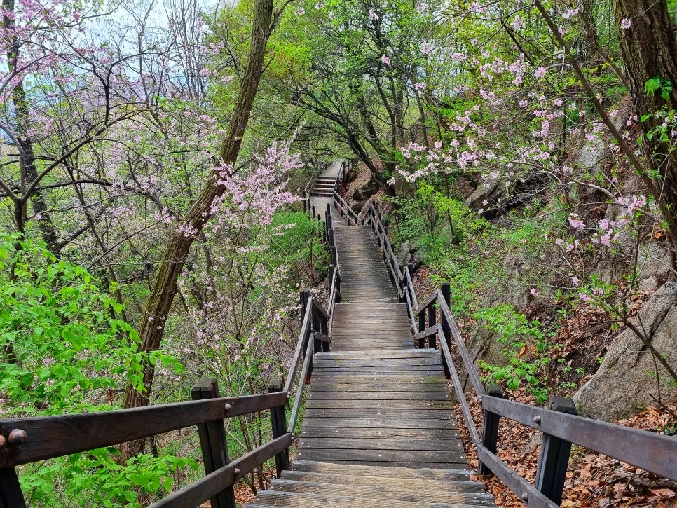 SE-f47311d1-3dce-43da-97b0-fda0d2ff75bd.jpg?type=w966